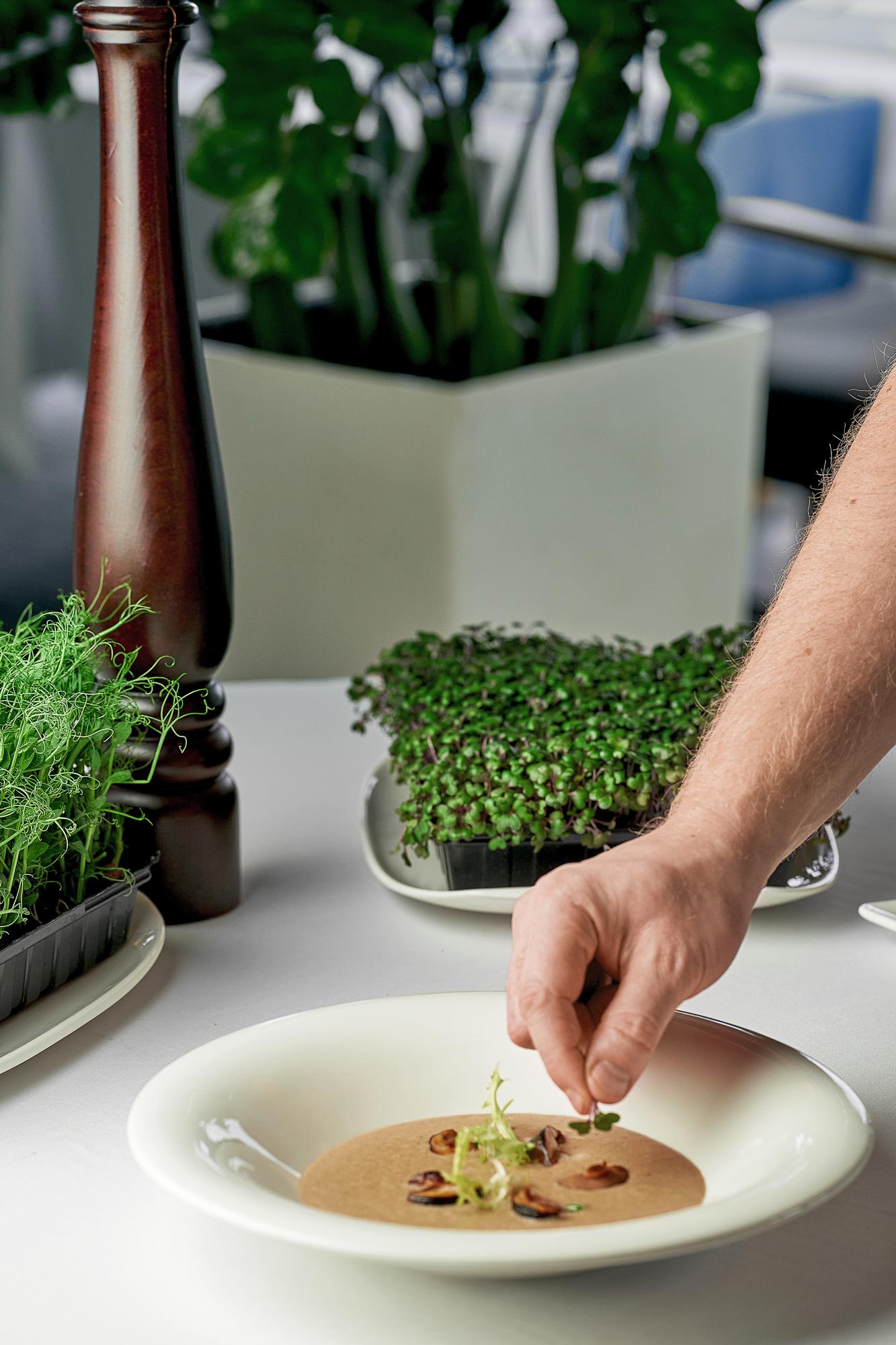 Chef plating a composed dish on wooden table